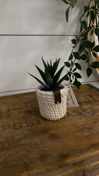 Mini Potted Plant - Cream