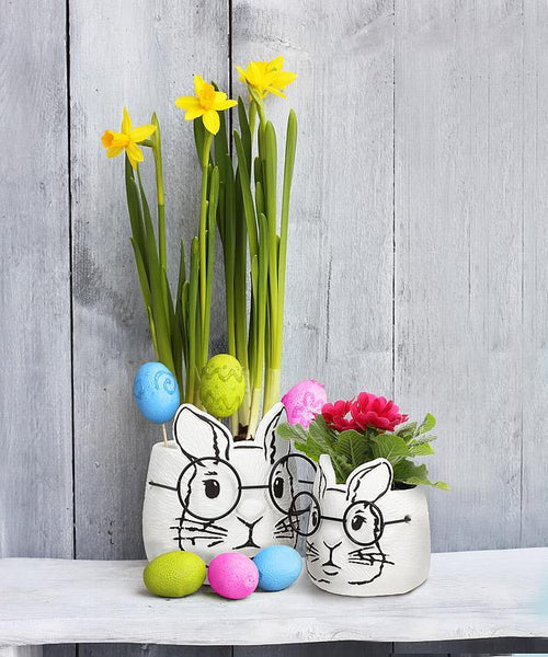 Large Bunny Planter W/Glasses