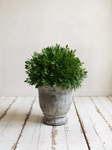 11"H Boxwood In Cement Pot Faux