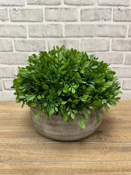 8"H Boxwood In Cement Pot Faux