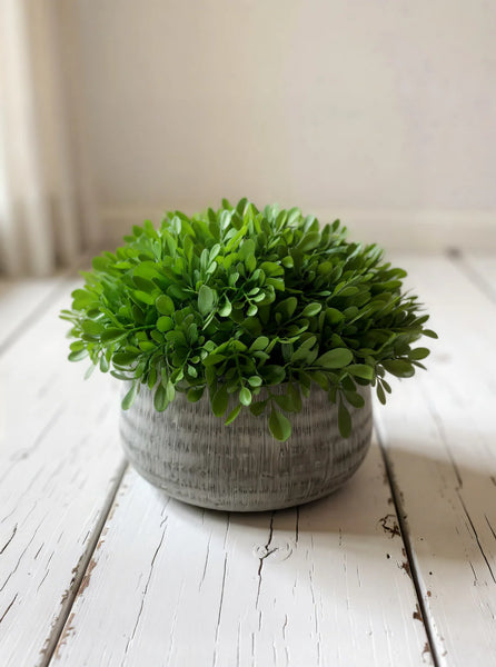 8"H Boxwood In Cement Pot Faux