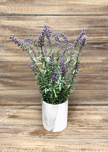 16" Lavender bush in faux white marble pot