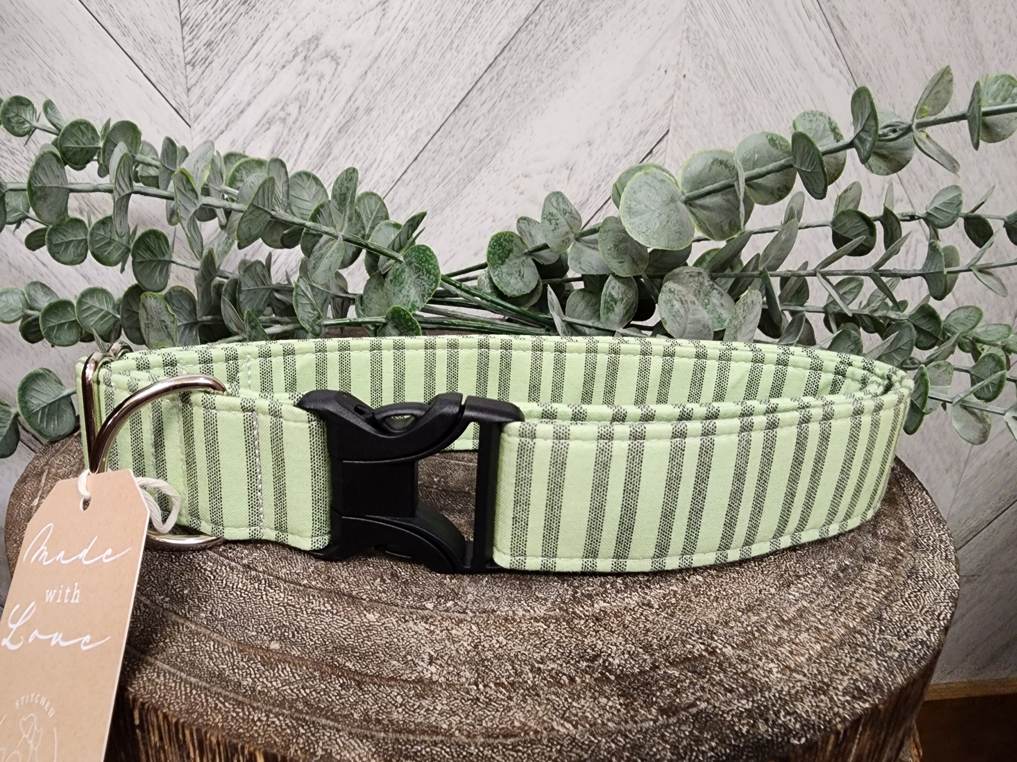 Green Stripe Dog Collar - X- Lg