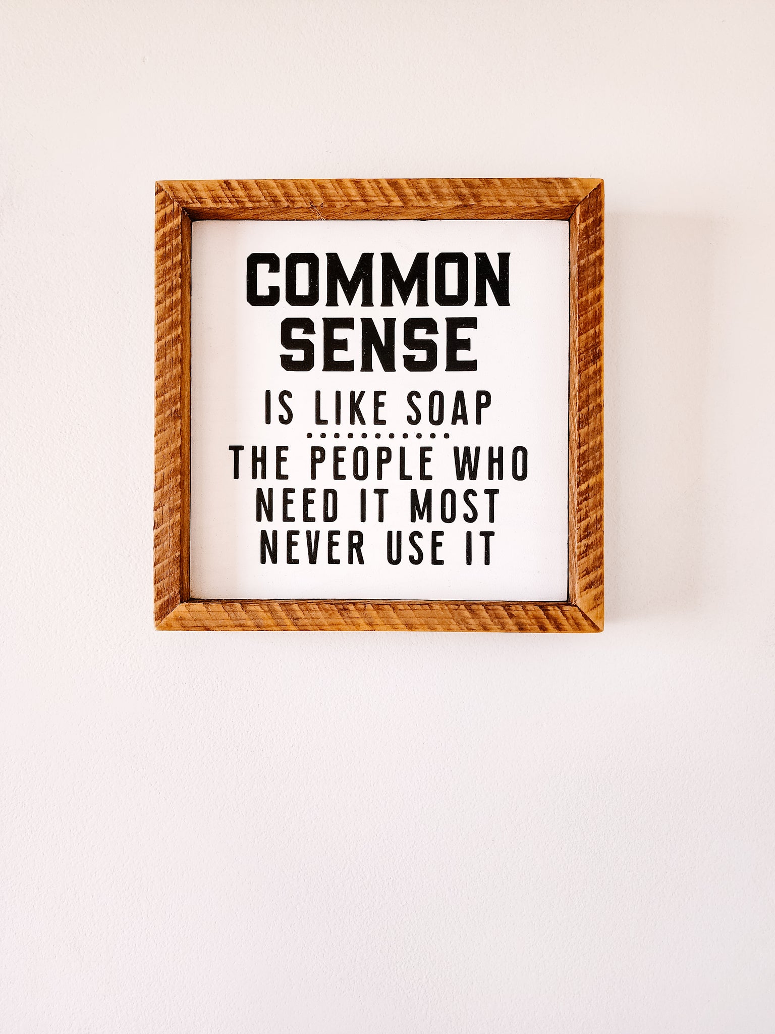 9x9 Common Sense is like soap sign