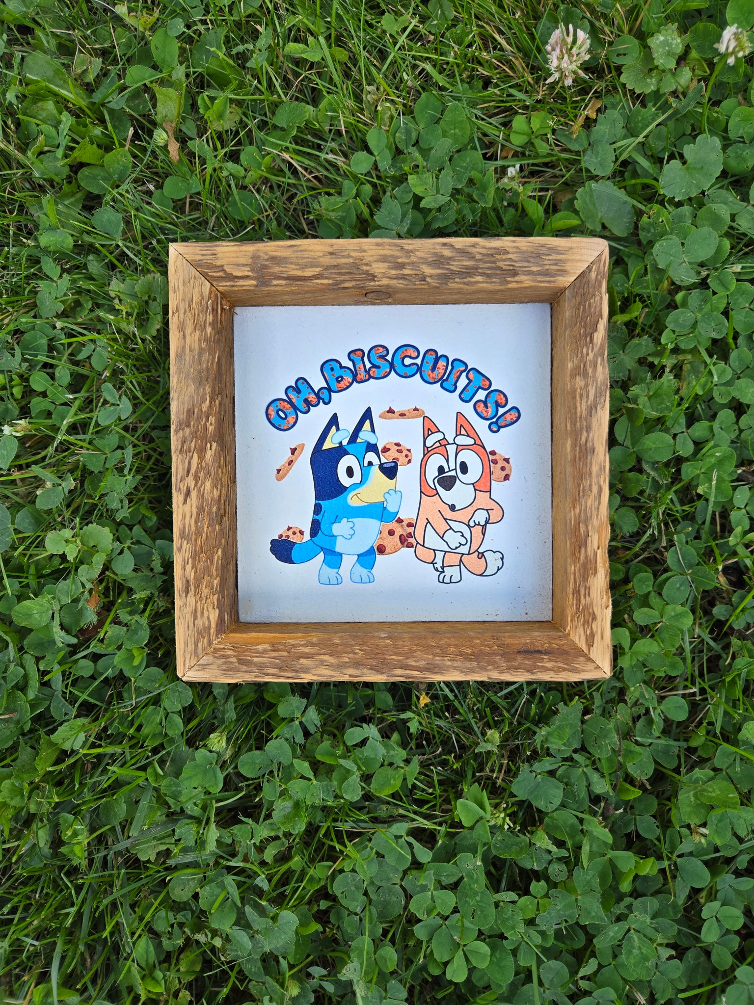 4x4 mini " oh biscuits" sign.