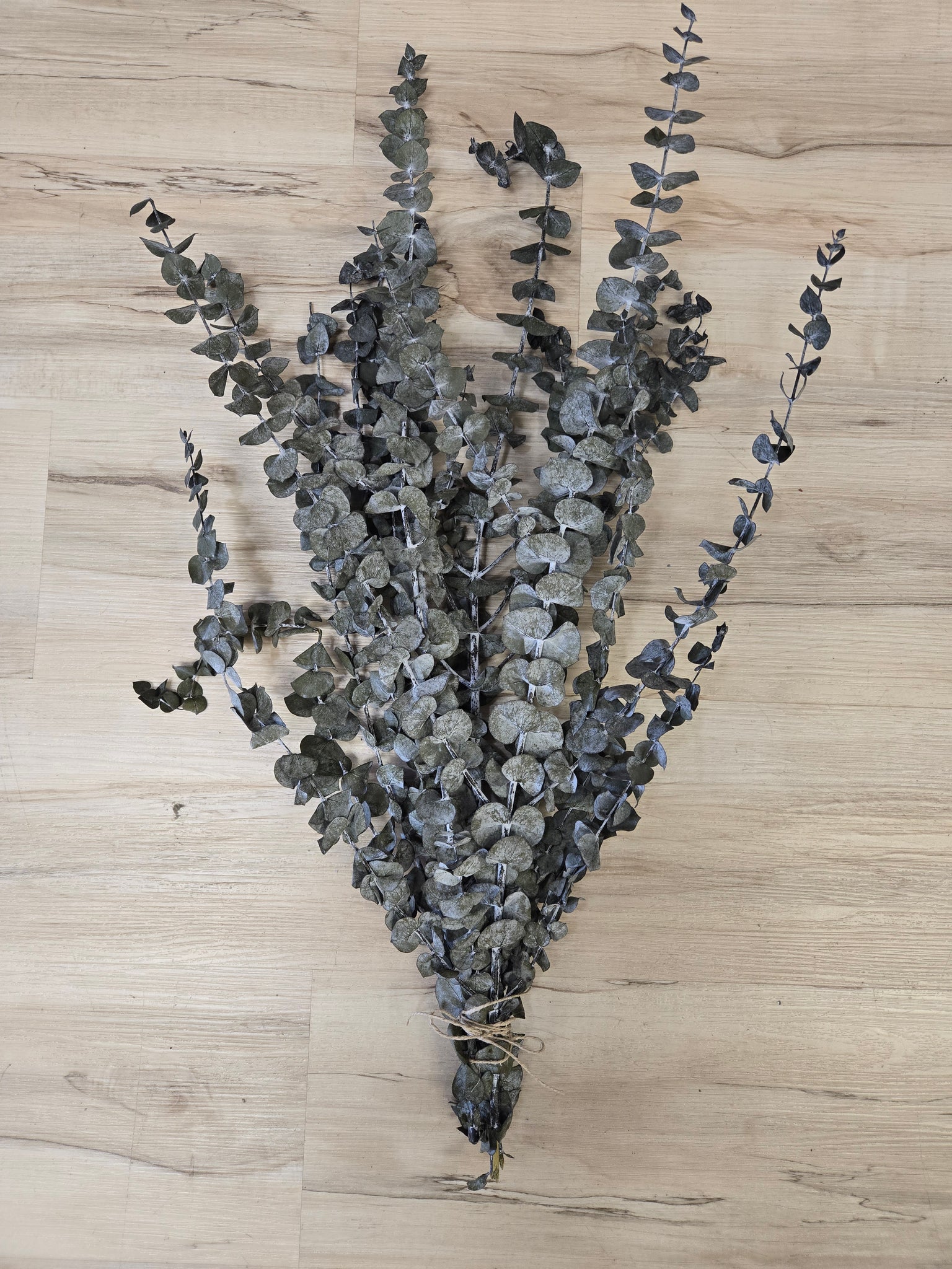 Dried Eucalyptus bundle