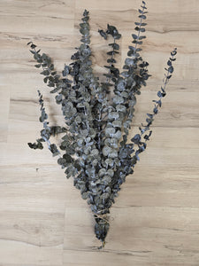 Dried Eucalyptus bundle