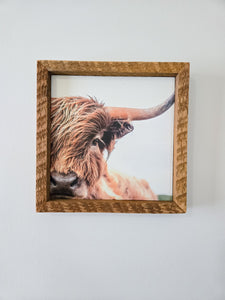 9x9 Sublimated Highland cow face sign.