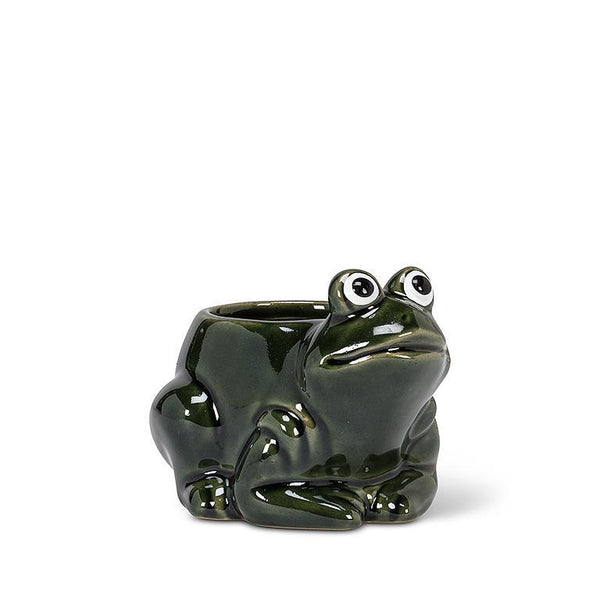 Crouching frog planter