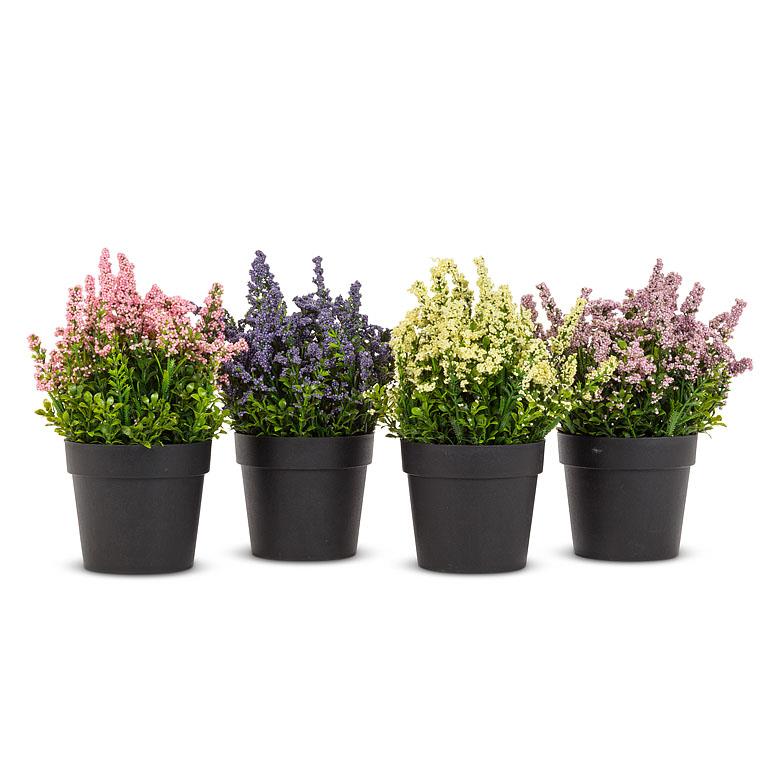 Coloured Lavender Plant Pot - 4 Assorted Colours