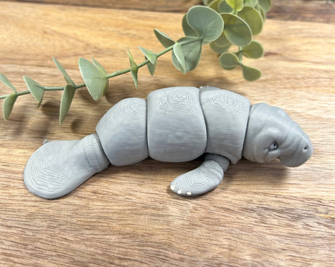 3D Printed Manatee