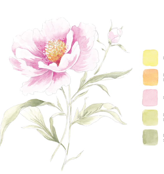 Blooms & Bouquets Watercolor Workbook by Willow Wolfe