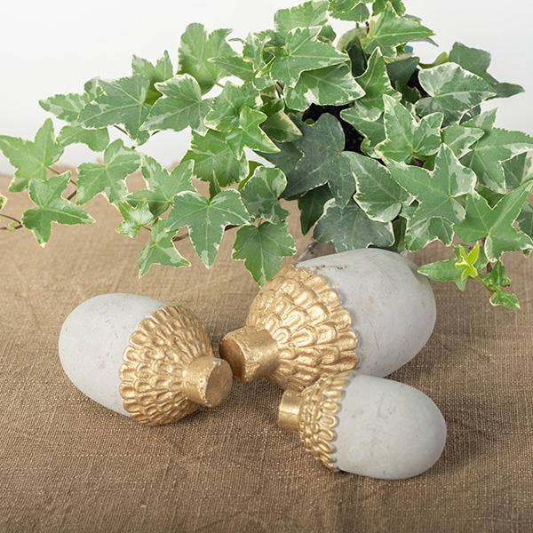 Cement Acorn - Medium