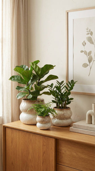 Ceramic Planter Pot, Stacked with Drainage - Noemi: Large 6.5"