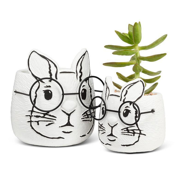 Large Bunny Planter W/Glasses