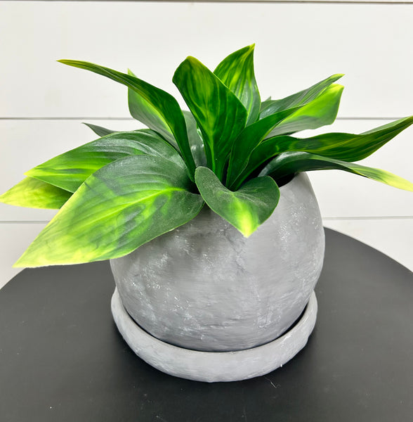 VM08 Clay Texture Planter
