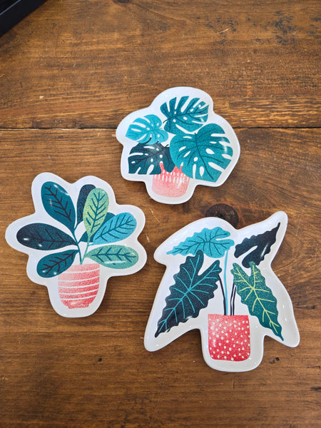 Shaped Dish Let It Grow- Assorted Styles