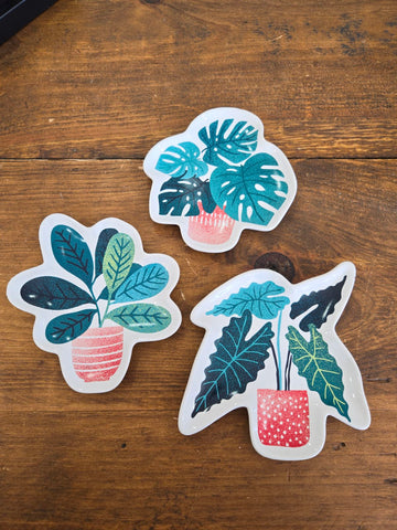 Shaped Dish Let It Grow- Assorted Styles