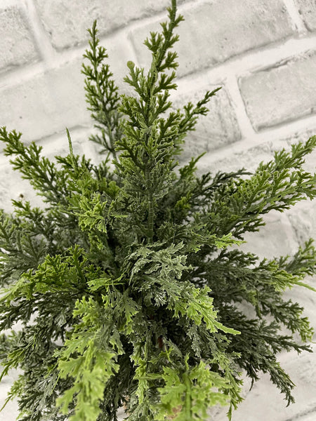 18” Fresh Touch Eastern Red Cedar Bundle W/ 3 Stems