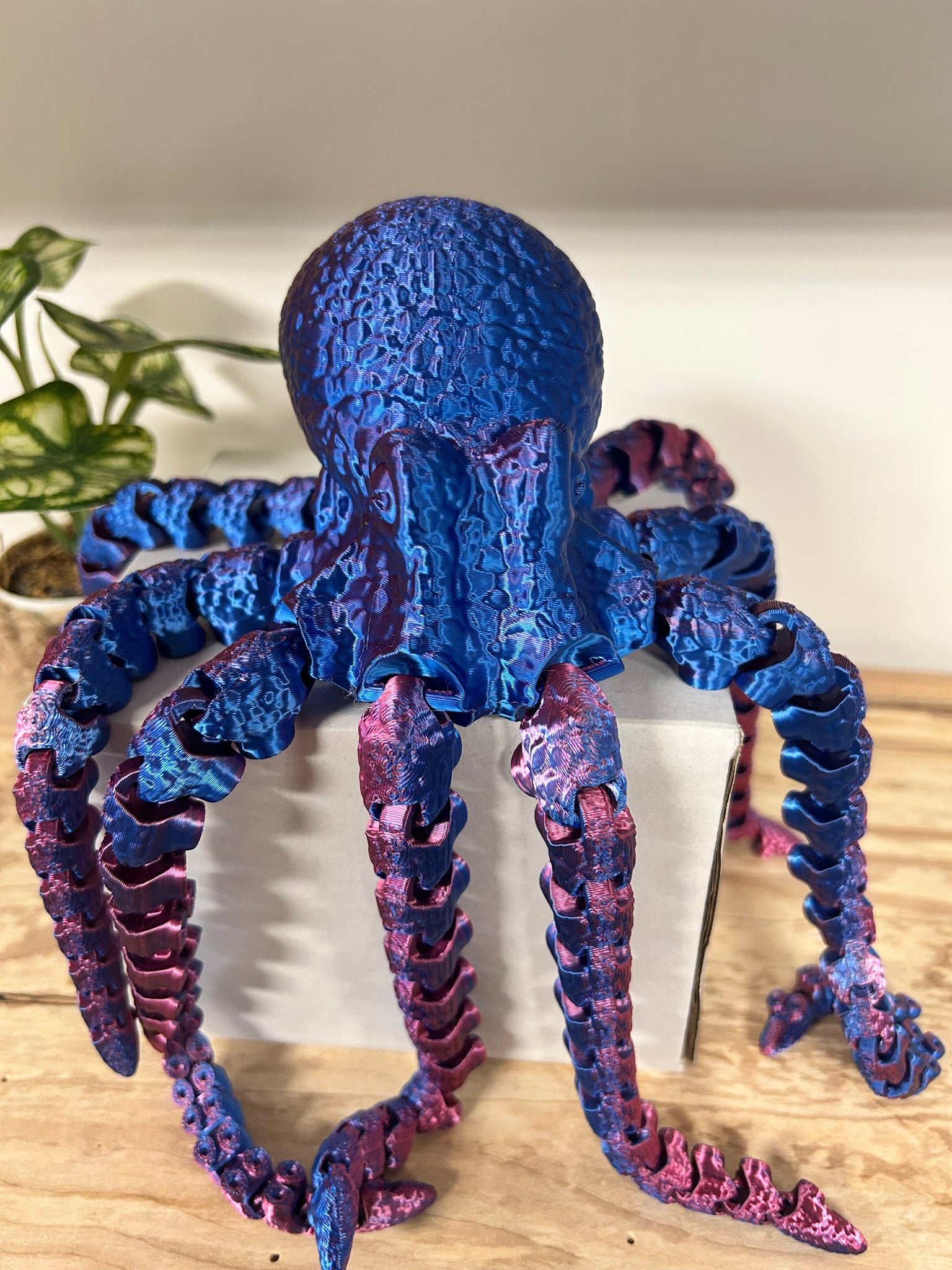 3D Printed Extra Large Octopus - Assorted Colours