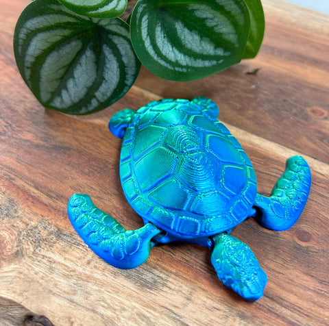 3D Printed Turtle - Assorted Styles & Colours