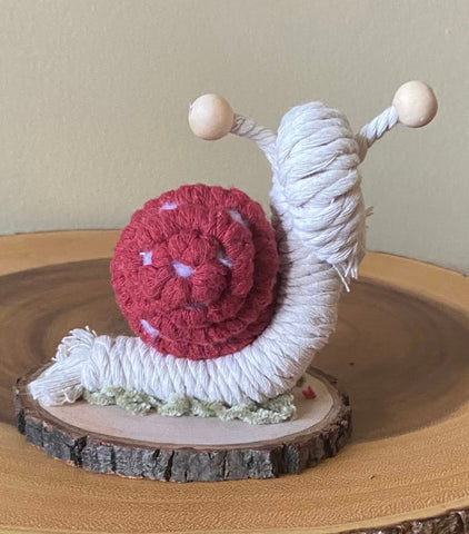 Felted Snail W/Mushroom Shell - Assorted Colours