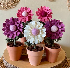 Felted Daisy-Assorted Colours