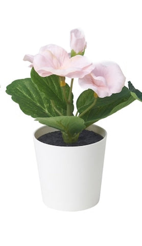 Mini Potted Plant -Pink Flower