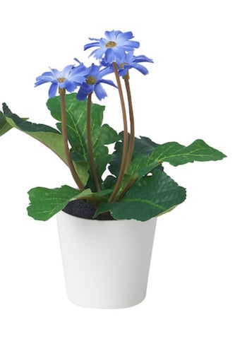 Mini Potted Plant - Blue Flower