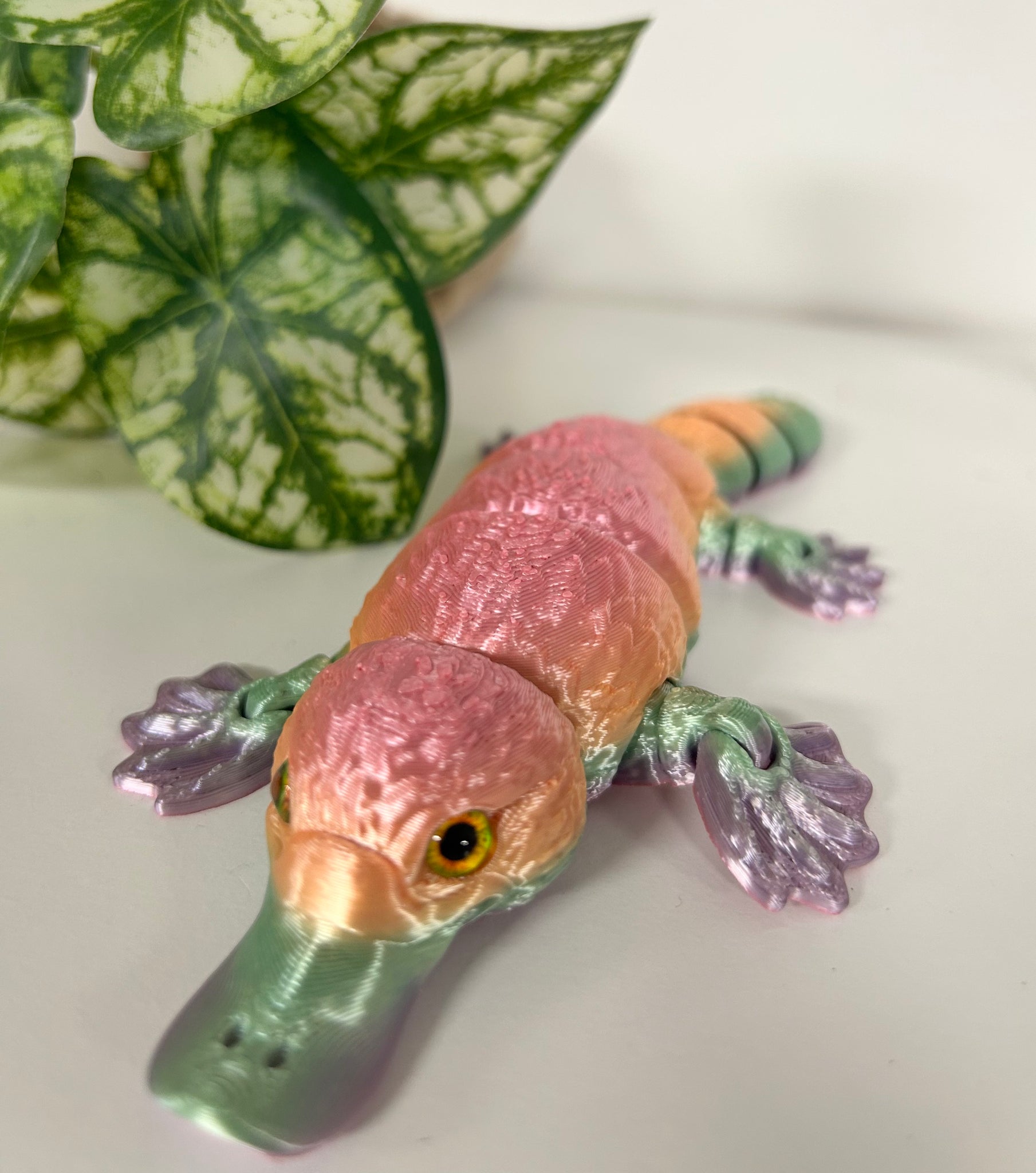 3D Printed Platypus - Assorted Colours