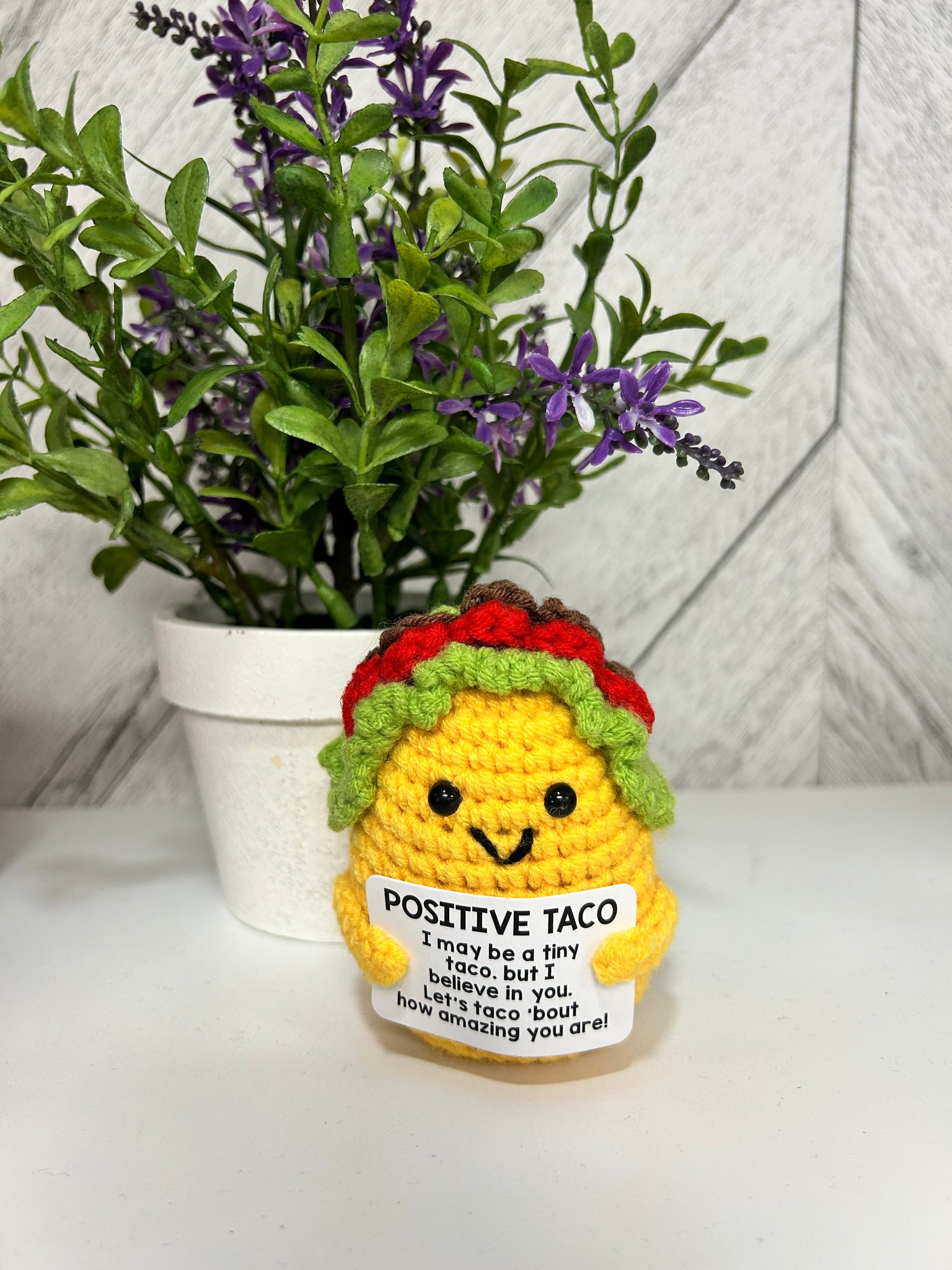 Emotional Support Taco - Positive Taco