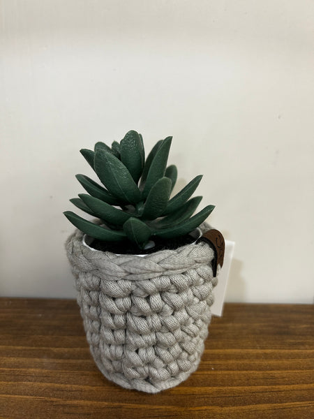 Mini Potted Plant - Grey