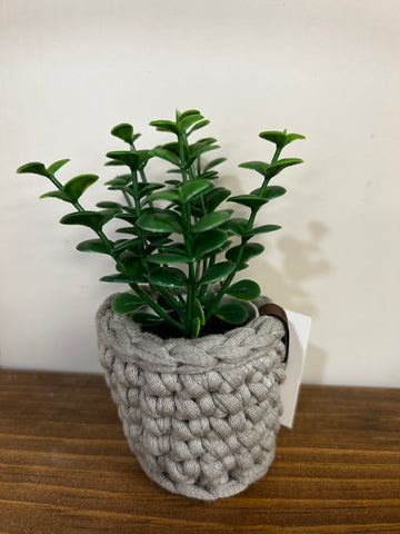 Mini Potted Plant - Grey