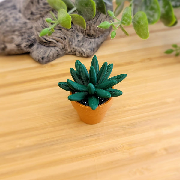 Plant Fidget Spinner - Assorted