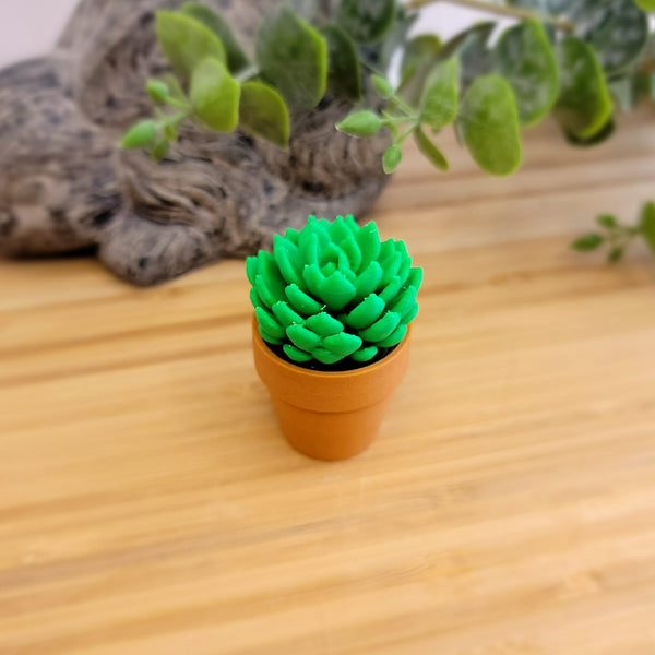 Plant Fidget Spinner - Assorted