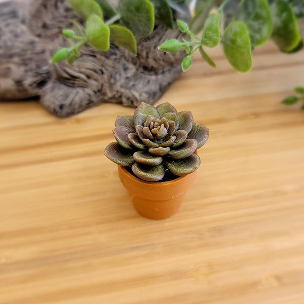 Plant Fidget Spinner - Assorted