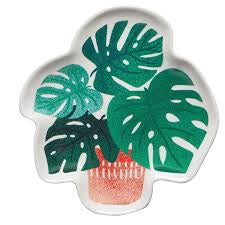 Shaped Dish Let It Grow- Assorted Styles