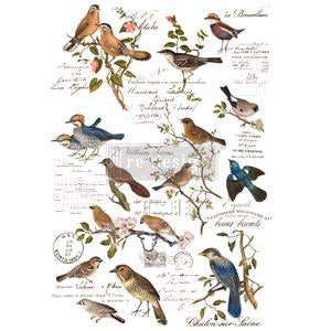 Redesign Decor Transfer- Postal Birds