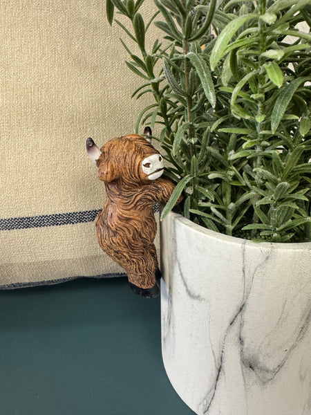 Highland Cow Resin Planter Hanger - Assorted Styles