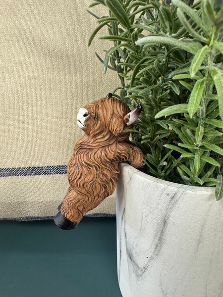 Highland Cow Resin Planter Hanger - Assorted Styles
