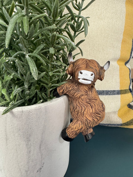 Highland Cow Resin Planter Hanger - Assorted Styles