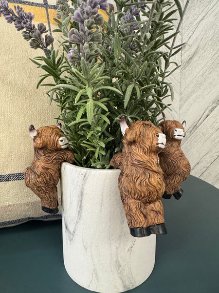 Highland Cow Resin Planter Hanger - Assorted Styles