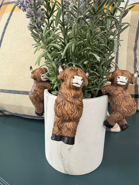 Highland Cow Resin Planter Hanger - Assorted Styles