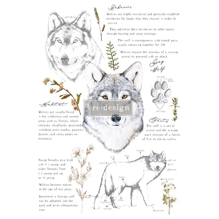 Redesign Decor Transfer- Gray Wolf