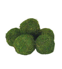 Moss Decor Balls 2.5"