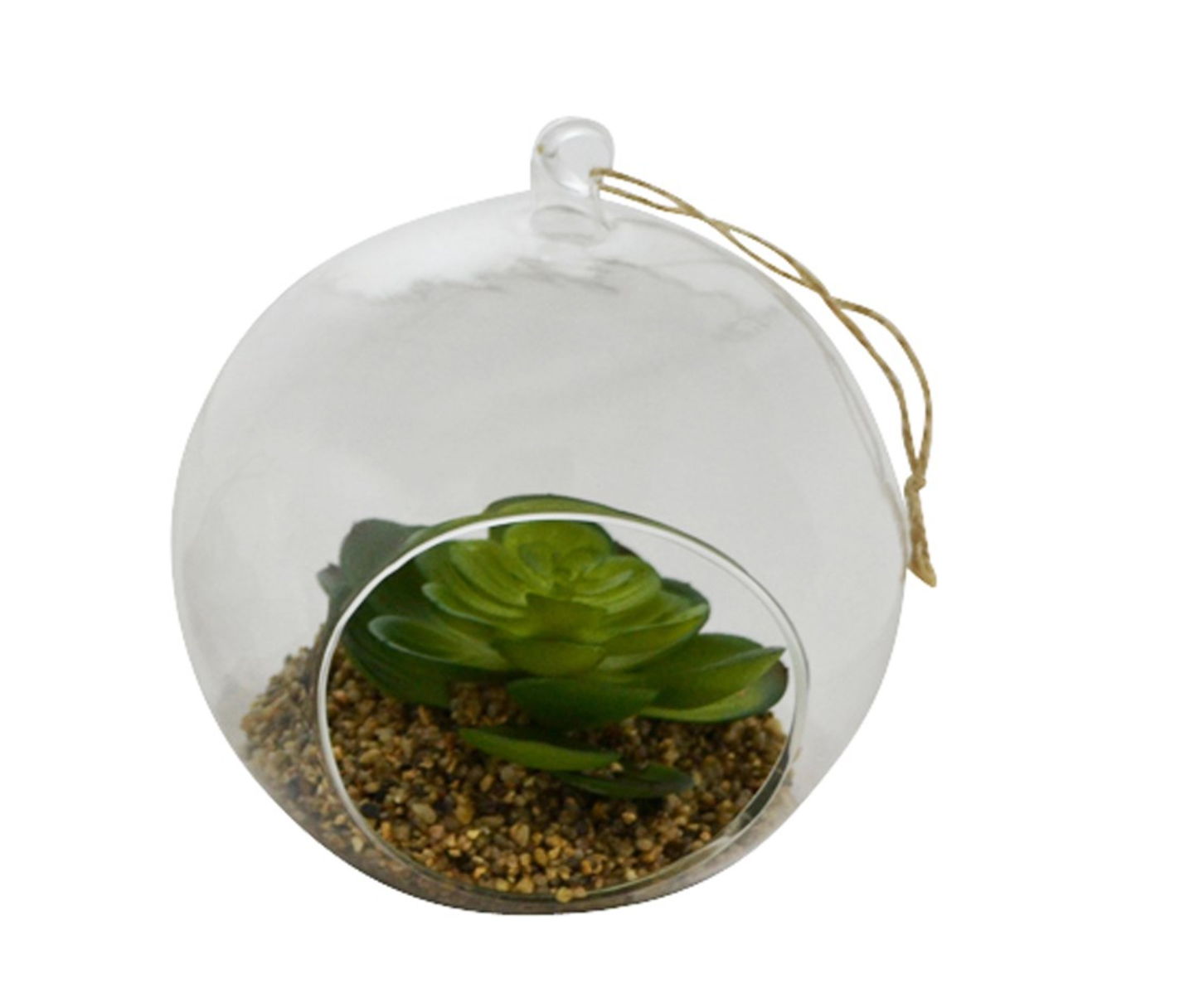 Hanging Terrarium