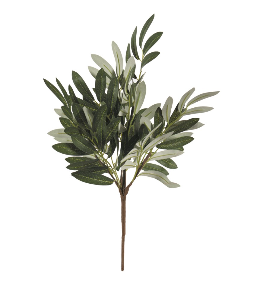 15'' Olive Branch