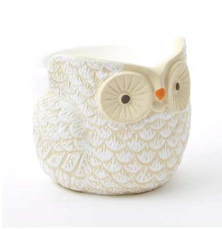 Winston The Owl Candle - WHITE PUMPKIN & CLOVE