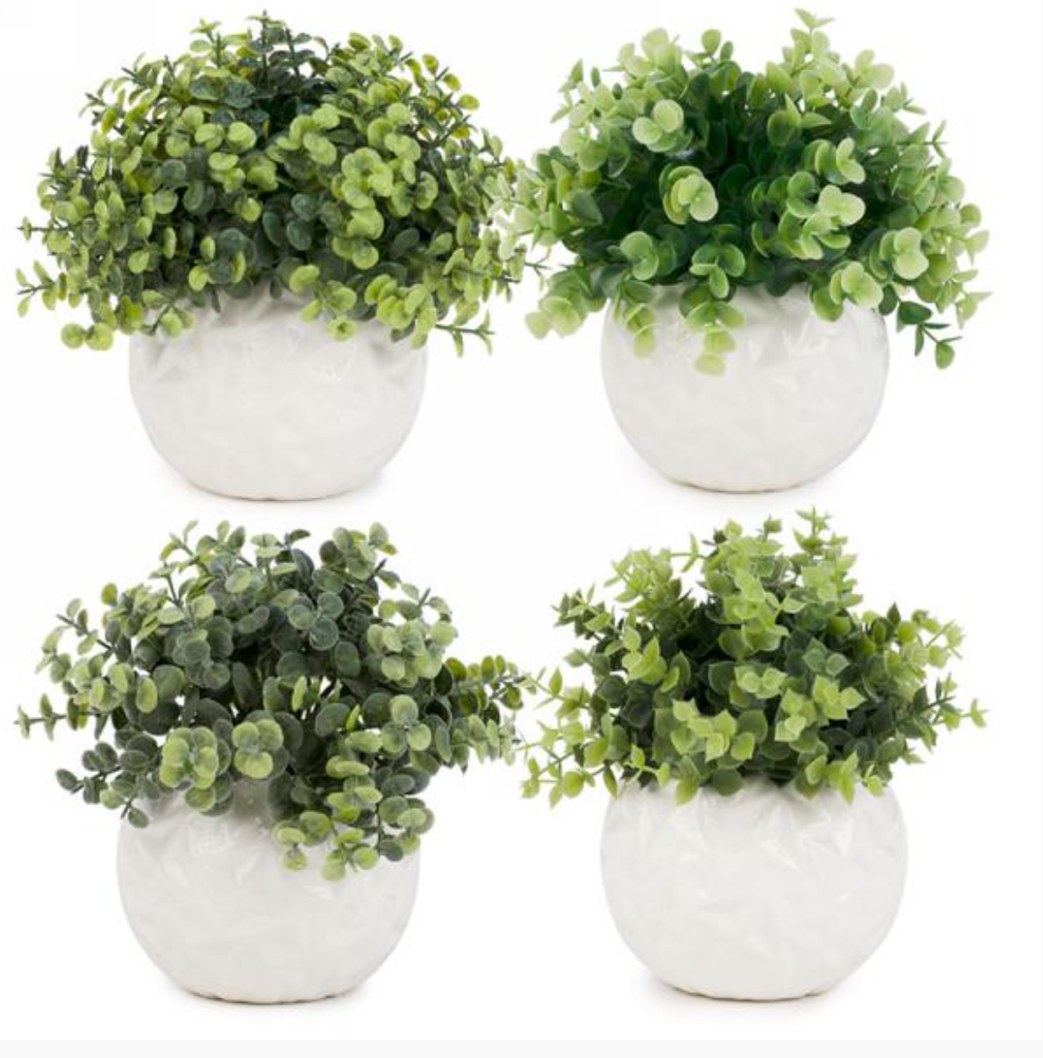 White Potted Plant- Assorted