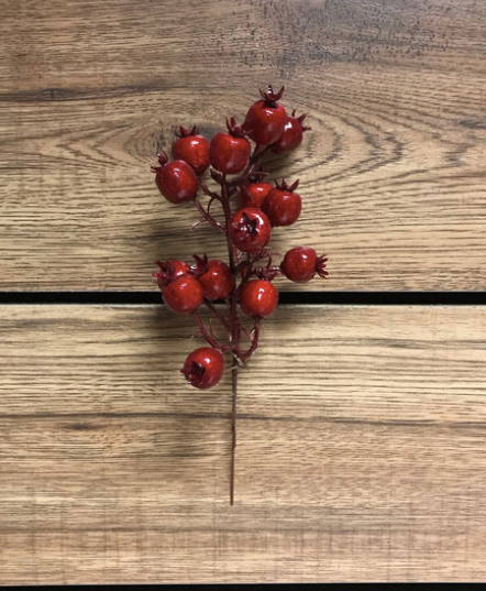 8" Indoor/Outdoor Red Cranberry Pick